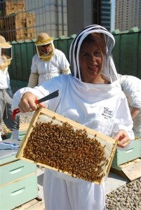 Toronto Urban Beekeeper, BEEGrrl Melanie Coates, head beekeeper at The Fairmont Royal York