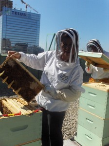 Melanie Coates/ BEEGrrl Head Beekeeper at Fairmont Royal York